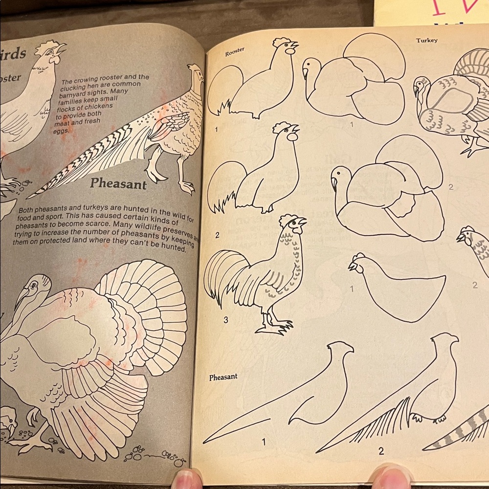 Bird and Rainforest Book Set - Picture 15 of 15